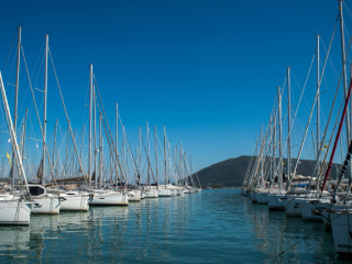 Sailing Yacht - Premium Quality #1978
